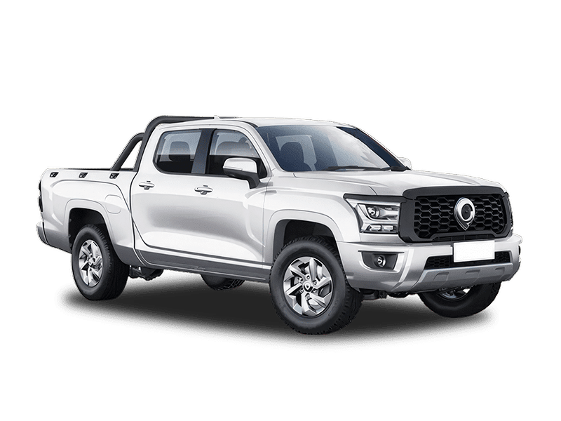 Great Wall Poer King Kong - Снежный белый